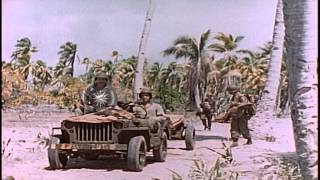 Soldiers of the 165th Infantry dig foxholes and walk through the jungle in Makin ...HD Stock Footage