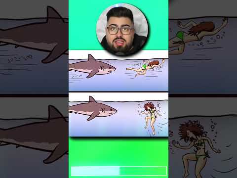 How to survive a *SHARK* attack 😱!