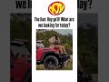 What Are We Looking For Today Funny Safari Safari Lion