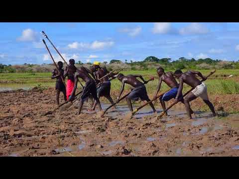 Hôtel Diembéring Akine Lodge construction maison en bois flotté hébergement proche de Cap Skirring
