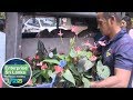 enterprise-sri-lanka-03-09-2018