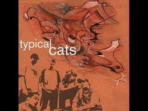 Typical Cats - The Manhattan Project