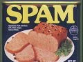 SPAM song