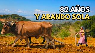 "A los 82 años ara la tierra sola con una yunta prestada"