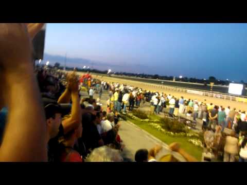 SIR FEVER CONSAGRACION