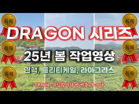 드래곤210