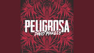 Peligrosa (Original Mix)