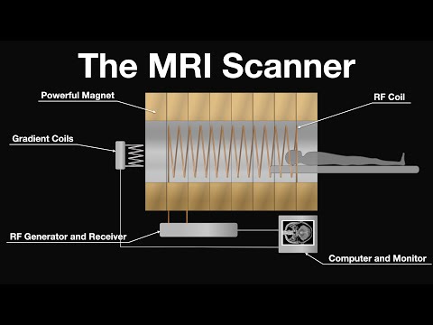 MRI Scan Animation : How magnetic resonance imaging works