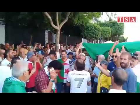 الجزائر.. الجزائر : الجزائريون يتظاهرون للجمعة الـ 22 وقلوبهم مع منتخبهم في القاهرة ...فيديو!!