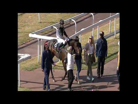Just Kidding Turffontein 30 June 2019