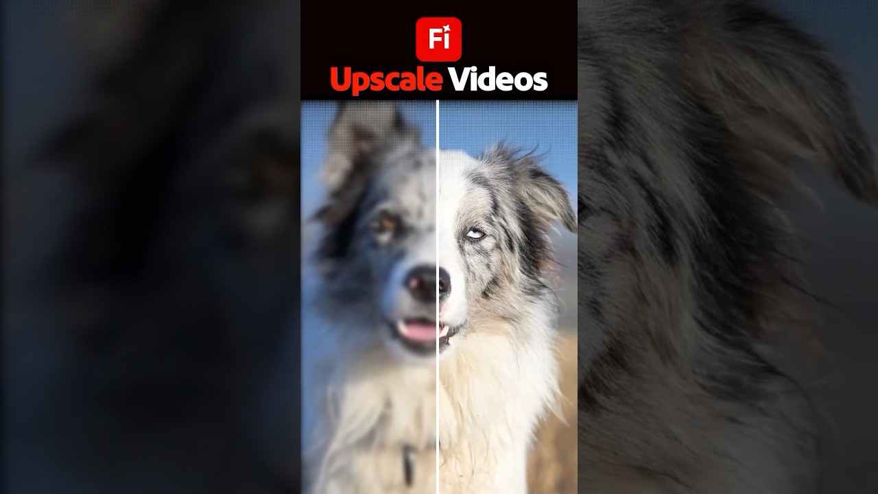 How to Upscale Video in Adobe Firefly (Quick Tutorial) @AdobeFirefly @topazlabs