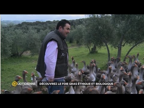 comment traiter foie gras