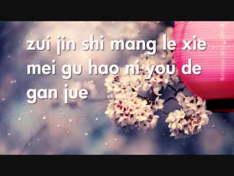 Bu Xiang Xing Lai - Wilber Pan (pinyin lyrics)
