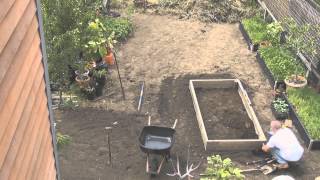 Building a raised bed