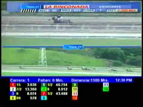 1ERA CARRERA DOM 29 JULIO LA RINCONADA AUDIOHIPISMO