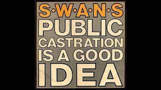 Swans - A Hanging