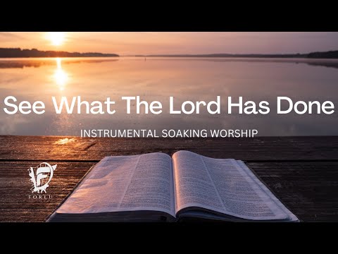 See What The Lord Has Done By Nathaniel Bassey | David Forlu Instrumental Soaking Worship