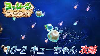 【ヨッシーとフカシギの図鑑】10-2 キューちゃんの生息地 調査、フラワーコンプリート【攻略/switch2】