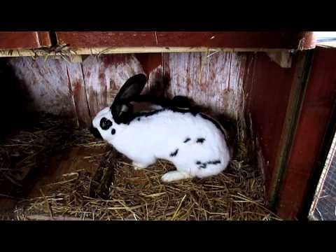 Láska na první pohled