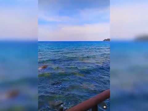 #hilight# Andaman portbiliar#beache#sortvideo#  Please subscrip#