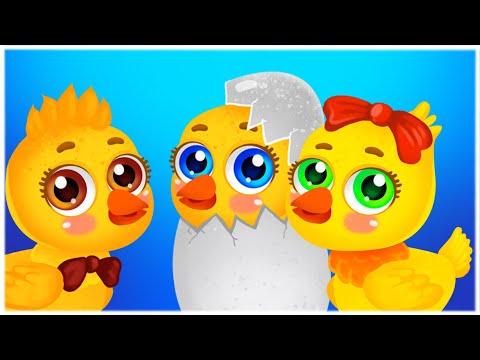 Pui Pui Puişorii – Cântece Pentru Copii în Limba Română – Cu Dragoste Pentru Copii