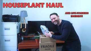 Houseplant Haul 2020 - Hortology Mystery Unboxing - | Rabbit's Foot Fern & Spiral Cereus