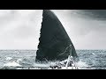 The Ending Of The Meg Explained