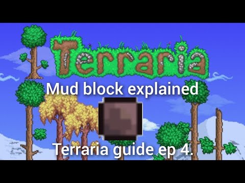 Terraria Mud
