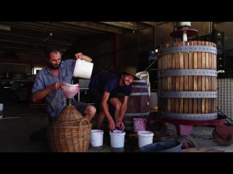 Green Drinks June 2017 with Rosnay Organics - Abridged