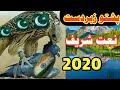 Pashto Naat Full Hd Pashto Naat 2020 Pashto New Naat 2020 New Pashto Naat 2019