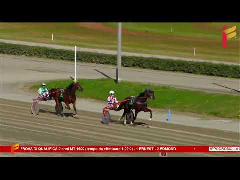 Prova di qualifica del 27 dicembre 2022 - 2 Anni - Metri 1600