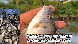 Download lagu JARANG ADA YANG TAU TERNYATA DI LOKASI INI SARANG IKAN NILA‼️🔥 mp3