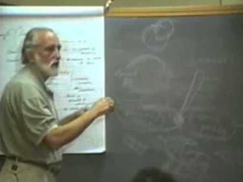 Plato's Timaeus (63)