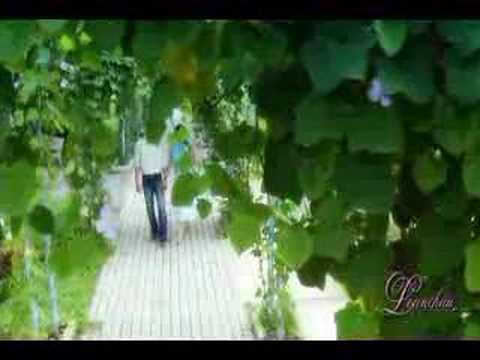 Lời quả tim - Loan Châu