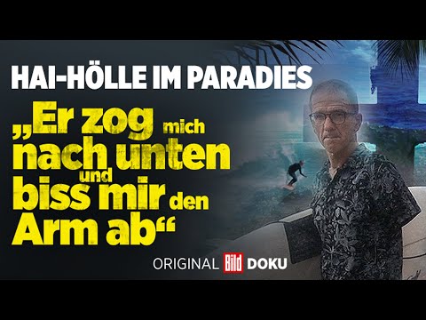 Aus dieser Trauminsel wurde der weltweit grausamste Hai-Hotspot | BILDplus-Doku | Trailer