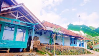 Download lagu Surga Tersembunyi Di Kampung Pojok Pedesaan Indah Jawa Barat mp3 Download lagu Surga Tersembunyi Di Kampung Pojok Pedesaan Indah Jawa Barat mp3