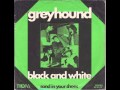 Greyhound - Black And White Greyhound - Black And White