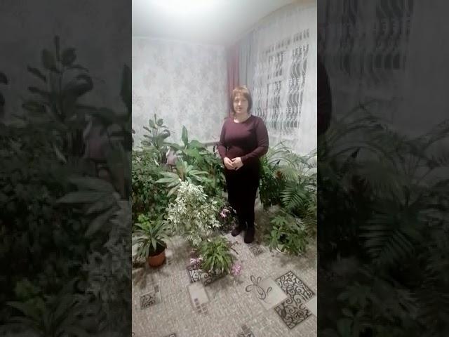 О заметке «Будьте счастливы»