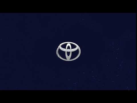 Shine Logo Animation