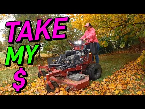 This Is The Cheapest Way To Do A Fall Cleanup | It's Time To Make The Change!