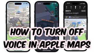 HOW TO TURN OFF THE VOICE IN APPLE MAPS