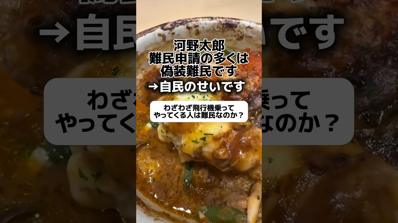 河野太郎「難民申請の多くは偽装難民」→自民のせいです