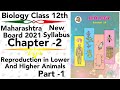 part-1 ch2 Reproduction in lower & higher Animals class 12 science new syllabus maharashtra board
