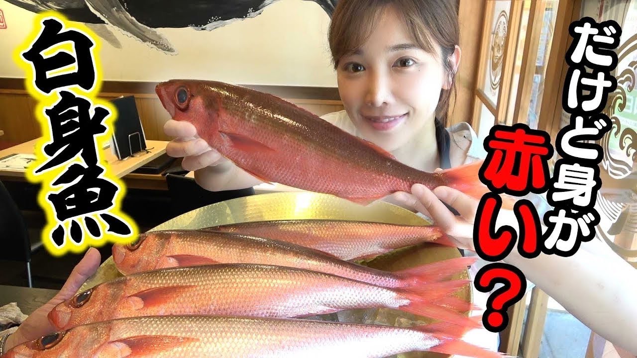 【希少】白身？赤身？味と見た目が全然違う不思議なお魚【ハチビキ】