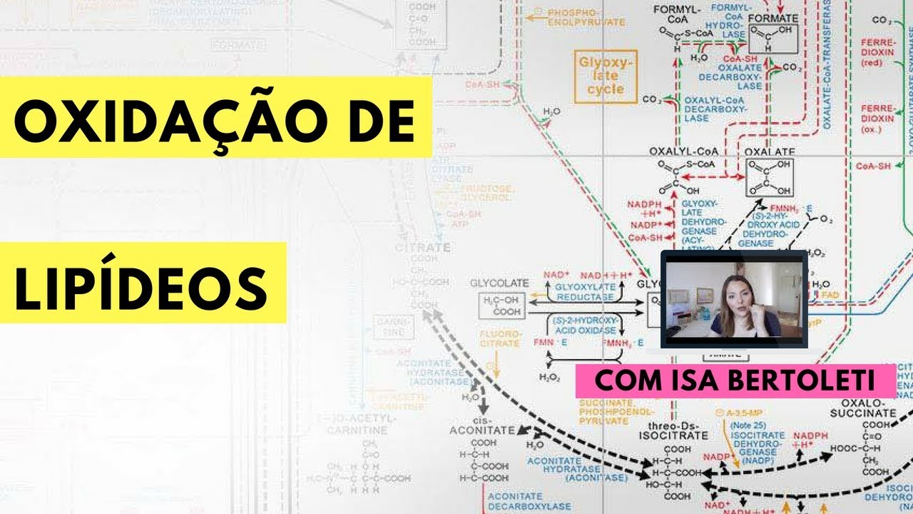 BIOQUÍMICA: OXIDAÇÃO DE LIPÍDEOS • BERTOBIO