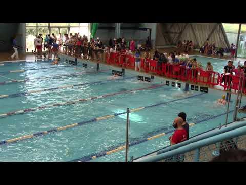 Bonacchi M.(1) Castellani S.(3) Ferretti F.(6) 50RA - Lucca 16.02.20