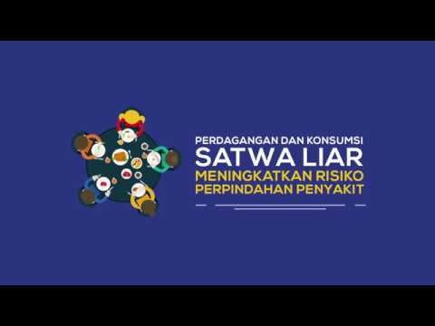 One Health untuk mengontrol zoonosis dan penyakit menular baru di Indonesia
