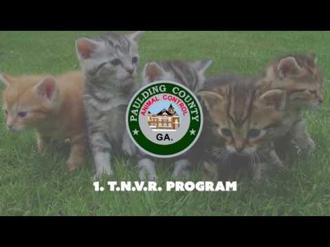 Positively Paulding Paulding Animal Control