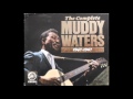 Muddy Waters Howlin Wolf