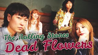 Download lagu The Rolling Stones - Dead Flowers (The Lady Shelters and TLS fans cover) mp3